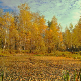 Nature  "Осенний прудик"