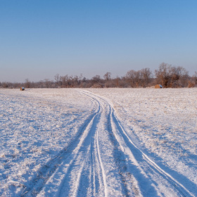 Зимняя дорога в поле.