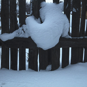 снег на заборе