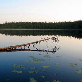 Тихо на озере