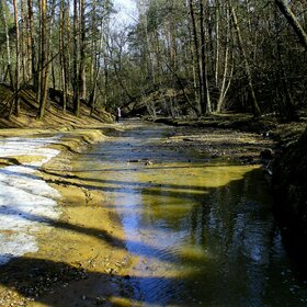 река Чертановка в Битцевском парке