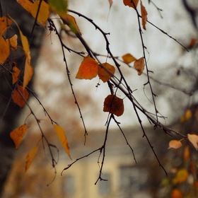 Осень – это феерия и спокойствие. Разноцветная и такая прекрасная, она дарит умиротворение и вдохновение…