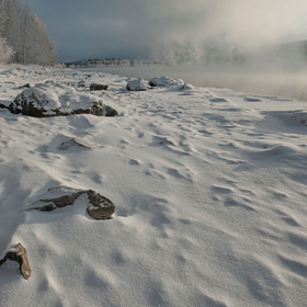 Зимний туманный берег...