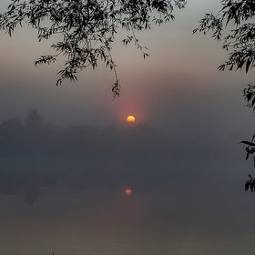Утро,туман, р.Березина в конце июля.