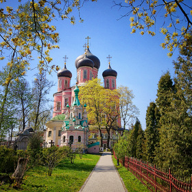 Москва. Донской монастырь
