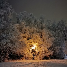 Одинокий зимний фонарь