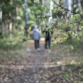 Прогулка в осеннем лесу