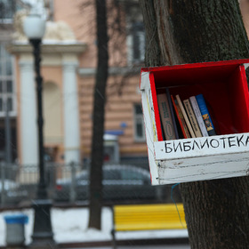 общественная библиотека на дереве