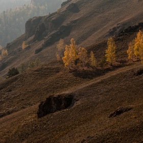 Осенний Торгашинский хребет