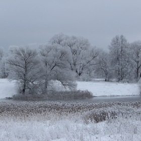 Зима в Твери