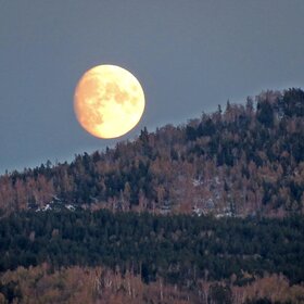 Из-за леса, из-за гор выкатился большой блин Луны.