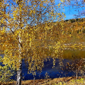 Осень на реке