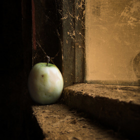 яблоко ушедшей осени....