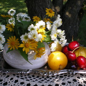 Натюрморт с цветами и фруктами под сенью дерева