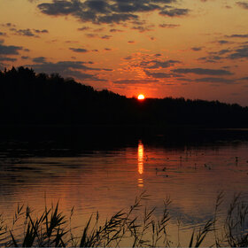 Рассвет на лесном озере с солнечной дорожкой