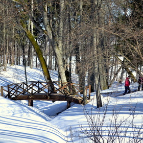 Прогулка в парке Тригорского