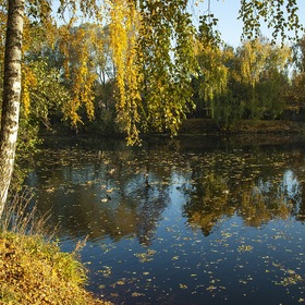 Осень в Остафьево