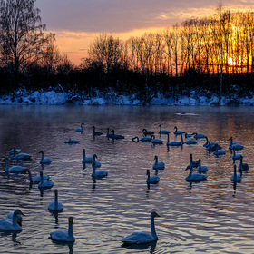 Закат на озере Светлое (Алтайский край)