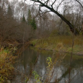Лесная река осенью