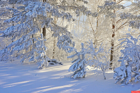А февраль в Сибири всё лютует.